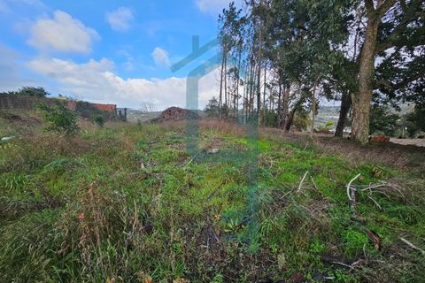 Helårsgrund i Alcobaca, Leiria, Alcobaca - € 44.900 | Ref: GIRACHAVE_4 - foto 3
