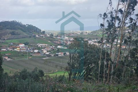 Helårsgrund i Alcobaca, Leiria, Alcobaca - € 44.900 | Ref: GIRACHAVE_4 - foto 4
