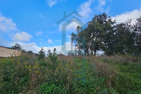 Helårsgrund i Alcobaca, Leiria, Alcobaca - € 44.900 | Ref: GIRACHAVE_4 - foto 6