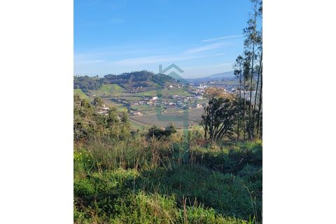 Helårsgrund i Alcobaca, Leiria, Alcobaca - € 44.900 | Ref: GIRACHAVE_4 - foto 7