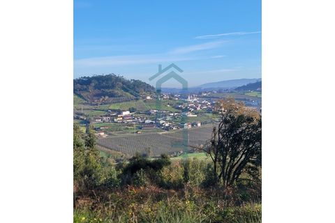 Helårsgrund i Alcobaca, Leiria, Alcobaca - € 44.900 | Ref: GIRACHAVE_4 - foto 8