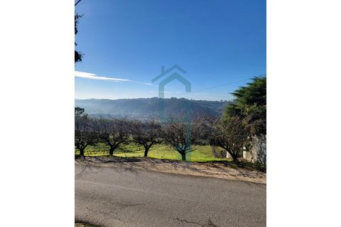Helårsgrund i Alcobaca, Leiria, Alcobaca - € 44.900 | Ref: GIRACHAVE_4 - foto 10