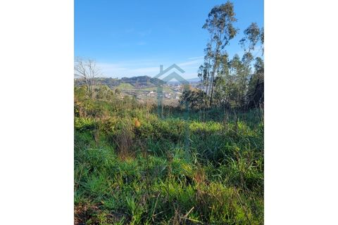 Helårsgrund i Alcobaca, Leiria, Alcobaca - € 44.900 | Ref: GIRACHAVE_4 - foto 11
