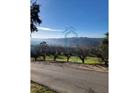 Helårsgrund i Alcobaca, Leiria, Alcobaca - € 44.900 | Ref: GIRACHAVE_4 - foto 12