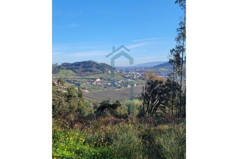 Grond in Alcobaca, Leiria, Alcobaca - € 44.900 | Ref: GIRACHAVE_4 - foto 1