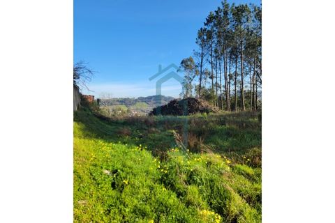 Grond in Alcobaca, Leiria, Alcobaca - € 44.900 | Ref: GIRACHAVE_4 - foto 2