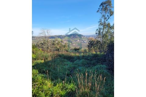 Grond in Alcobaca, Leiria, Alcobaca - € 44.900 | Ref: GIRACHAVE_4 - foto 10
