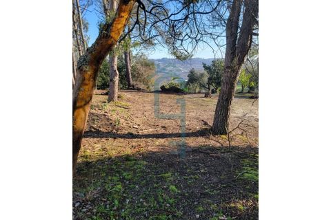 Grond in Alcobaca, Leiria, Alcobaca - € 44.900 | Ref: GIRACHAVE_4 - foto 11