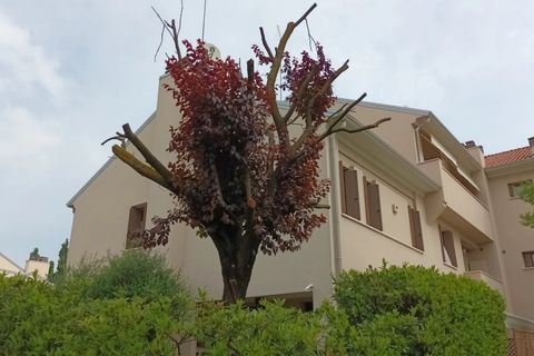 Villa a Conegliano, Treviso, Conegliano - € 275.000 | Ref: MD 172 LL - foto 30
