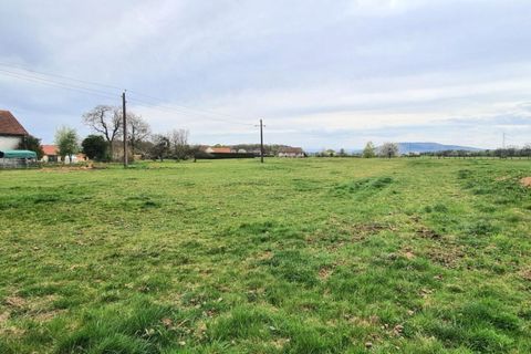Terra a Rougegoutte, Territoire de Belfort, Rougegoutte - € 80.000 | Ref: 428894LYH - foto 2