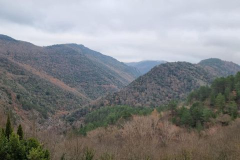 Villa i Cailla, Aude, Cailla - € 128.000 | Ref: 432591GLB - foto 11