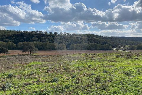 Farm i Odemira, Beja, Odemira - € 980.000 | Ref: VA-125501020-67 - foto 2