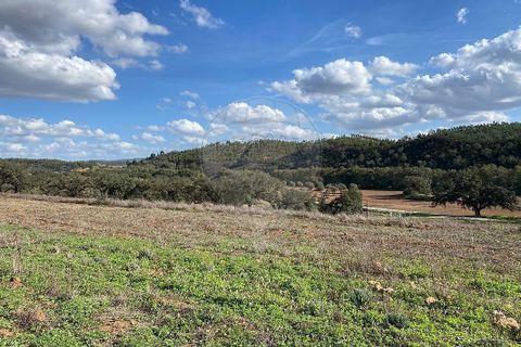 Farm i Odemira, Beja, Odemira - € 980.000 | Ref: VA-125501020-67 - foto 4