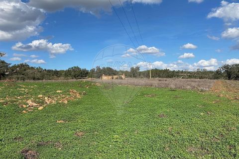 Farm i Odemira, Beja, Odemira - € 980.000 | Ref: VA-125501020-67 - foto 5