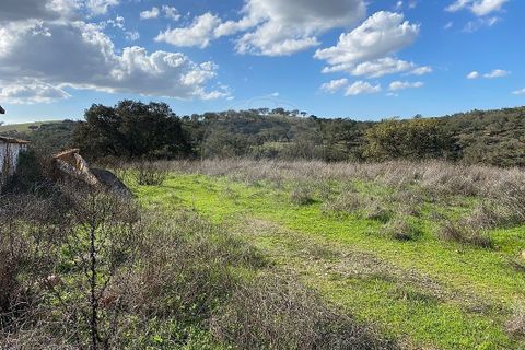Farm i Odemira, Beja, Odemira - € 980.000 | Ref: VA-125501020-67 - foto 7