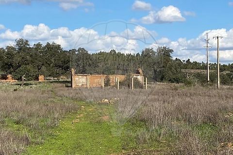 Farm i Odemira, Beja, Odemira - € 980.000 | Ref: VA-125501020-67 - foto 8