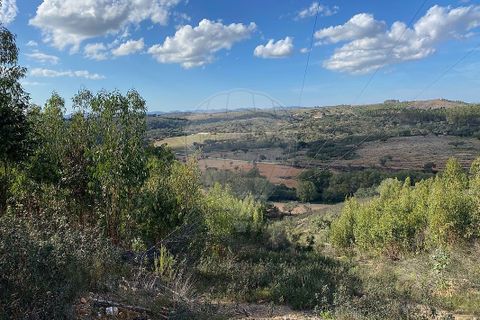 Farm i Odemira, Beja, Odemira - € 980.000 | Ref: VA-125501020-67 - foto 9