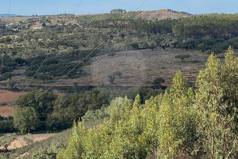 Farm i Odemira, Beja, Odemira - € 980.000 | Ref: VA-125501020-67 - foto 10