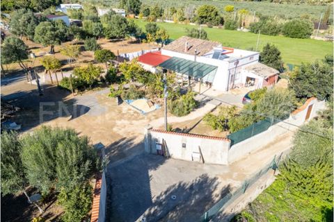 Villa i Moncarapacho, Faro, Moncarapacho - € 410.000 | Ref: W-030WI9 - foto 2