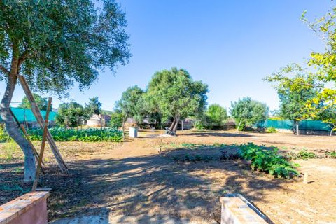 Villa i Moncarapacho, Faro, Moncarapacho - € 410.000 | Ref: W-030WI9 - foto 4