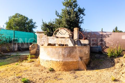 Villa i Moncarapacho, Faro, Moncarapacho - € 410.000 | Ref: W-030WI9 - foto 5