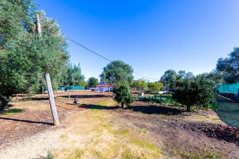 Villa i Moncarapacho, Faro, Moncarapacho - € 410.000 | Ref: W-030WI9 - foto 6