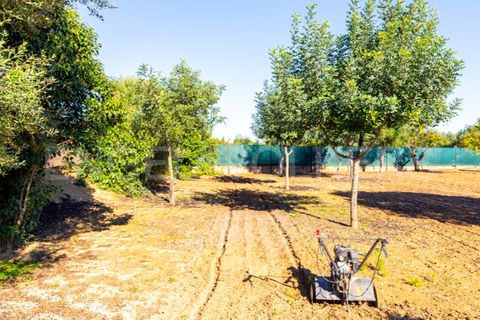 Villa i Moncarapacho, Faro, Moncarapacho - € 410.000 | Ref: W-030WI9 - foto 7