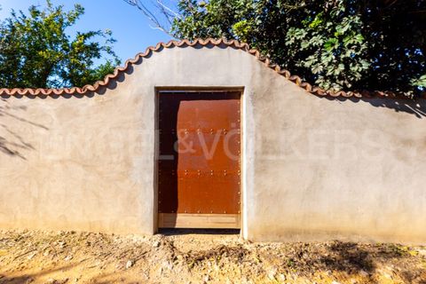 Villa i Moncarapacho, Faro, Moncarapacho - € 410.000 | Ref: W-030WI9 - foto 8