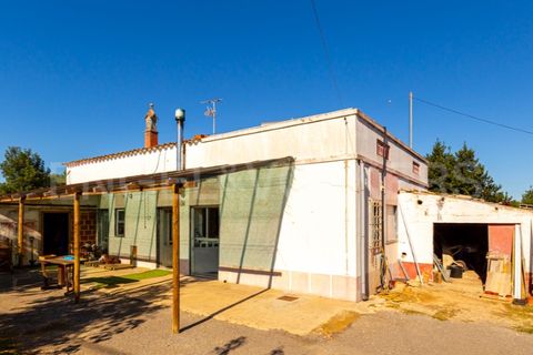 Villa i Moncarapacho, Faro, Moncarapacho - € 410.000 | Ref: W-030WI9 - foto 9