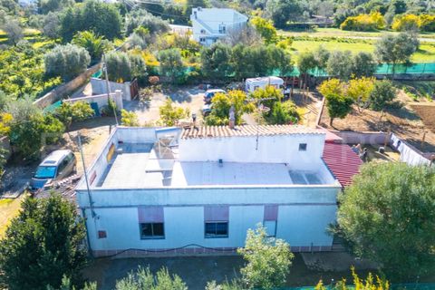 Villa i Moncarapacho, Faro, Moncarapacho - € 410.000 | Ref: W-030WI9 - foto 14