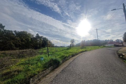 Helårsgrund i Pombal, Leiria, Pombal - € 130.000 | Ref: C0381-00849 - foto 3