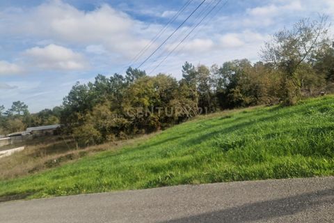Helårsgrund i Pombal, Leiria, Pombal - € 130.000 | Ref: C0381-00849 - foto 4