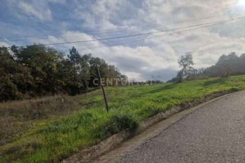 Helårsgrund i Pombal, Leiria, Pombal - € 130.000 | Ref: C0381-00849 - foto 6