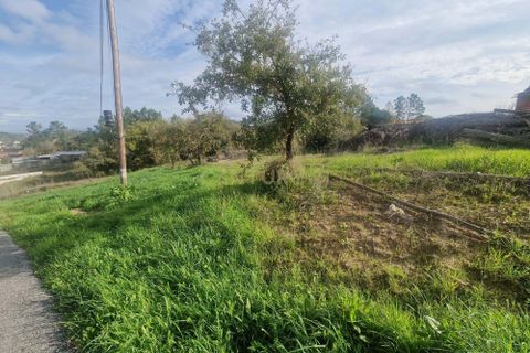 Helårsgrund i Pombal, Leiria, Pombal - € 130.000 | Ref: C0381-00849 - foto 7
