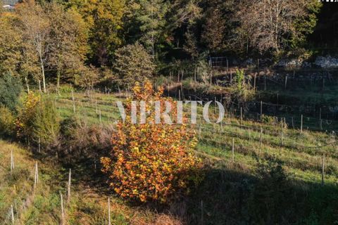 Helårsgrund i Amares, Braga, Amares - € 97.500 | Ref: MI-A/0229 - foto 2