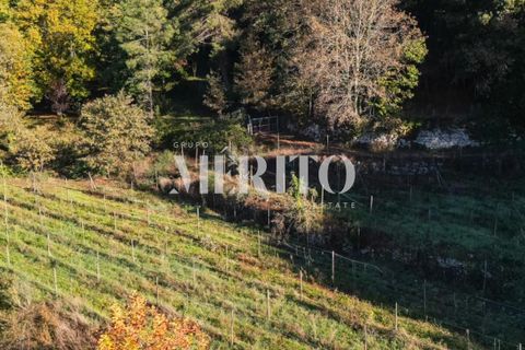 Helårsgrund i Amares, Braga, Amares - € 97.500 | Ref: MI-A/0229 - foto 5