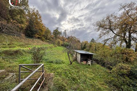 Villa a Reggello, Florence, Reggello - € 230.000 | Ref: VILL119 - foto 31