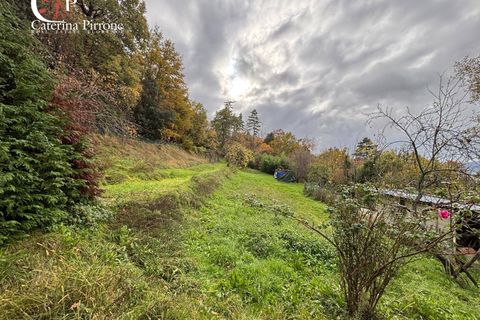 Villa a Reggello, Florence, Reggello - € 230.000 | Ref: VILL119 - foto 32