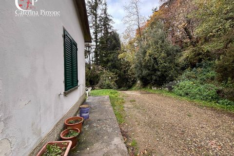 Villa a Reggello, Florence, Reggello - € 230.000 | Ref: VILL119 - foto 37