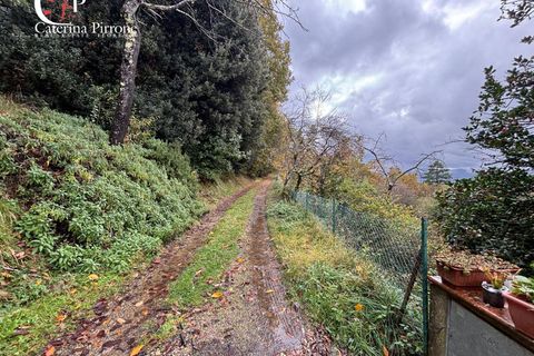 Villa a Reggello, Florence, Reggello - € 230.000 | Ref: VILL119 - foto 38