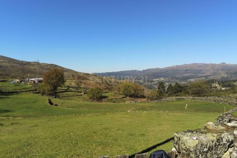 Villa i Vieira do Minho, Braga, Vieira do Minho - € 145.000 | Ref: C0256-01158 - foto 6