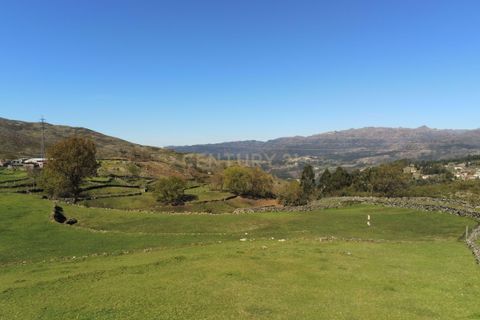 Villa i Vieira do Minho, Braga, Vieira do Minho - € 145.000 | Ref: C0256-01158 - foto 7