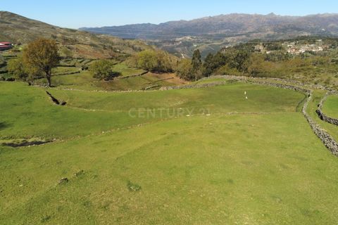 Villa i Vieira do Minho, Braga, Vieira do Minho - € 145.000 | Ref: C0256-01158 - foto 9