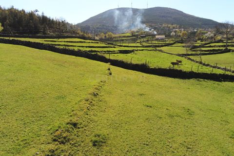 Villa i Vieira do Minho, Braga, Vieira do Minho - € 145.000 | Ref: C0256-01158 - foto 12