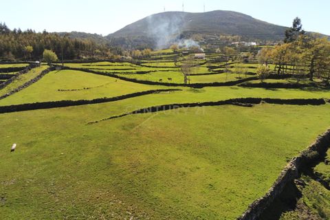 Villa i Vieira do Minho, Braga, Vieira do Minho - € 145.000 | Ref: C0256-01158 - foto 13