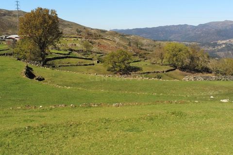 Villa i Vieira do Minho, Braga, Vieira do Minho - € 145.000 | Ref: C0256-01158 - foto 14