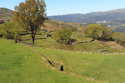 Villa i Vieira do Minho, Braga, Vieira do Minho - € 145.000 | Ref: C0256-01158 - foto 15