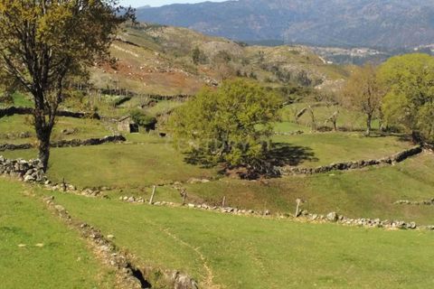 Villa i Vieira do Minho, Braga, Vieira do Minho - € 145.000 | Ref: C0256-01158 - foto 16