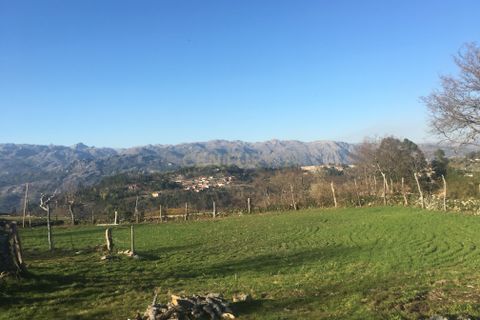 Villa i Vieira do Minho, Braga, Vieira do Minho - € 145.000 | Ref: C0256-01158 - foto 21