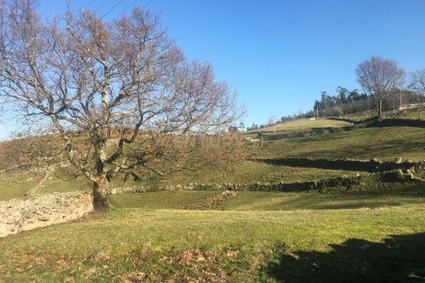 Villa i Vieira do Minho, Braga, Vieira do Minho - € 145.000 | Ref: C0256-01158 - foto 25